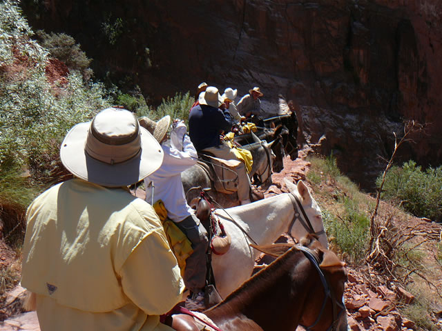 images/A-Mule Ride- returning to the Rim (37).jpg